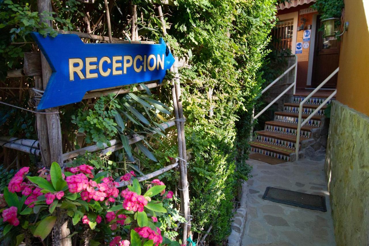 Apartamentos Turisticos Trajano 볼로냐 외부 사진